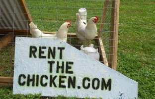 Rent chickens to the city folk